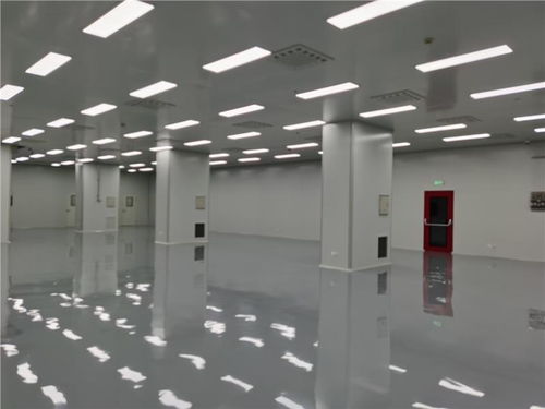 清遠食品廠凈化裝修設計 打造安全高效的網站展示平臺