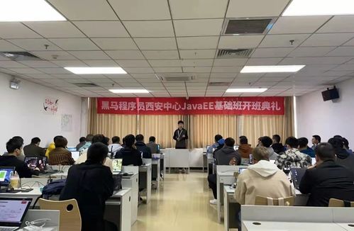 黑馬程序員技術交流社區 打造高效技術咨詢與學習平臺